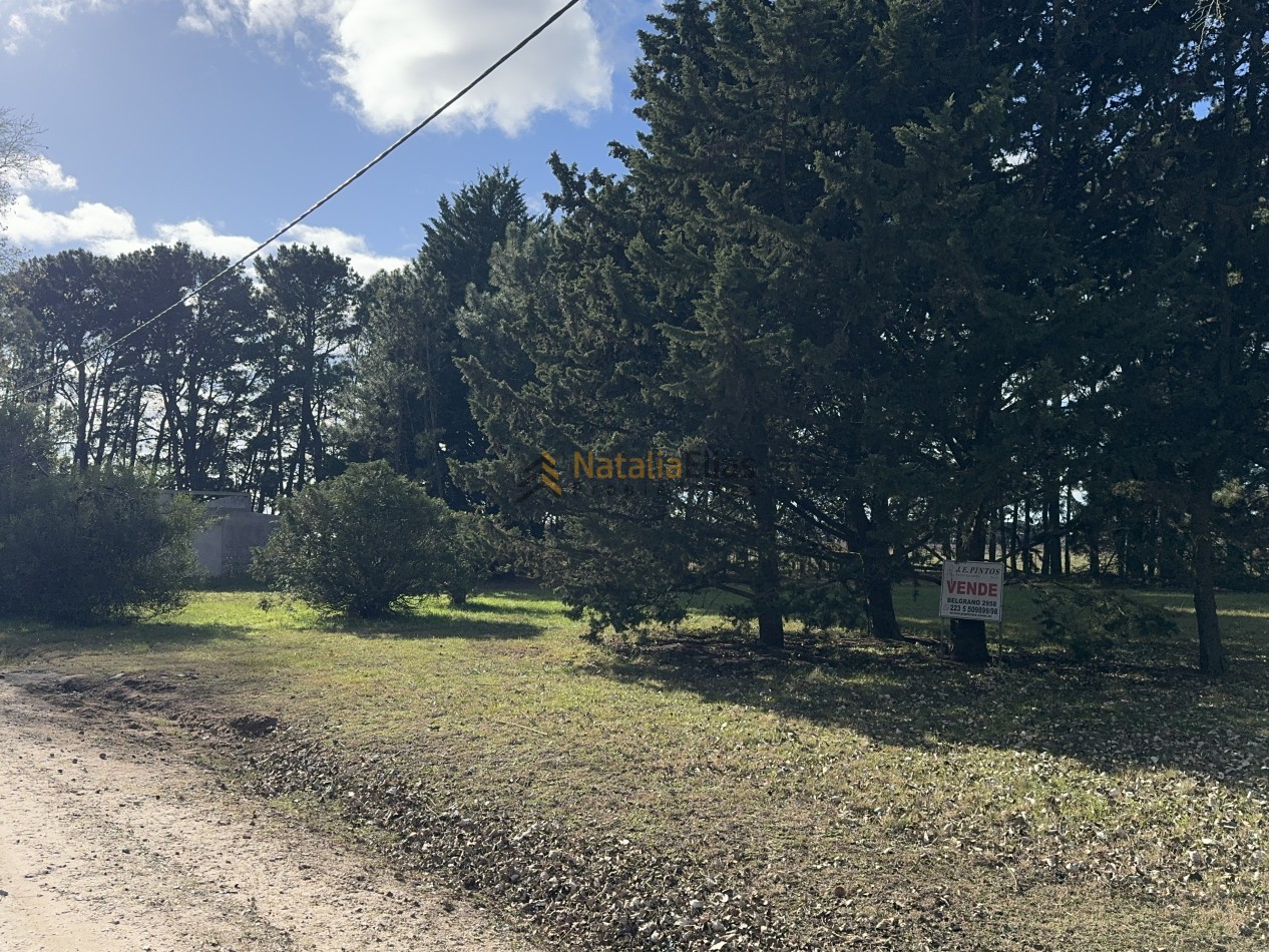 Lotes en venta en barrio Pinares de Santa de Clara