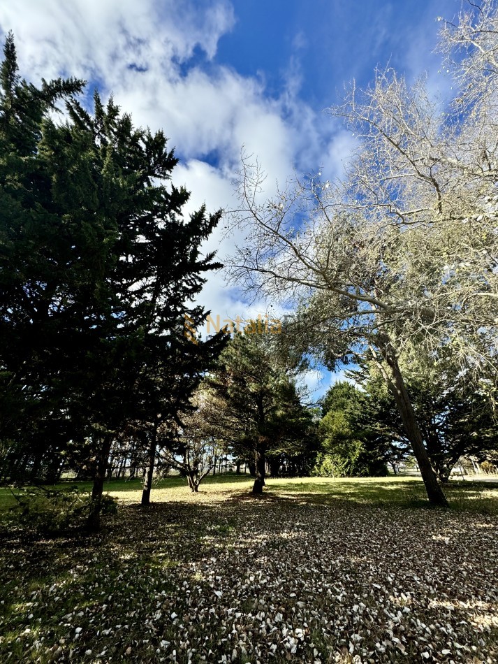 Lotes en venta en barrio Pinares de Santa de Clara