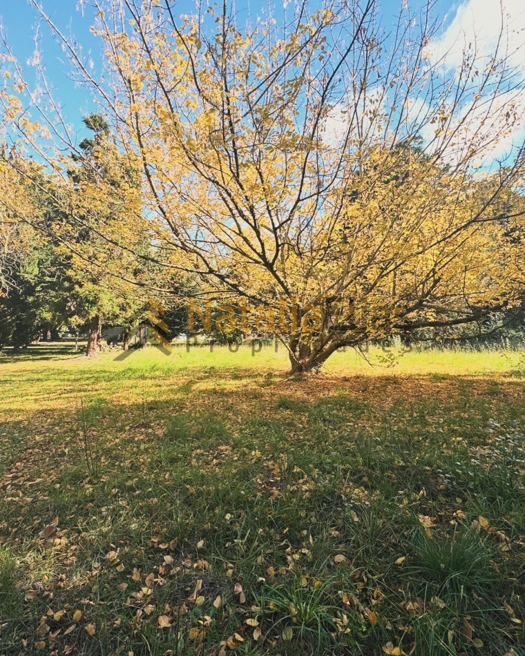 Lote en venta en barrio cerrado Pinares de Santa Clara